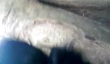 যৌন্য উত্তেজক এক্স এক্স ভিডিও চুদাচুদি