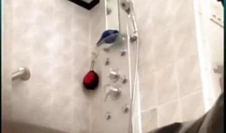 স্বামী বাংলা বৌদি চুদাচুদি ও স্ত্রী,