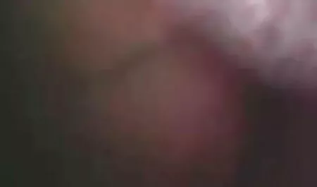 স্বামী ও বাংলা চেদা চিদি স্ত্রী