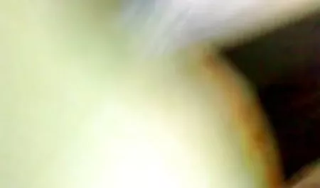 স্বর্ণকেশী, সুন্দরী বালিকা চোদা চুদী