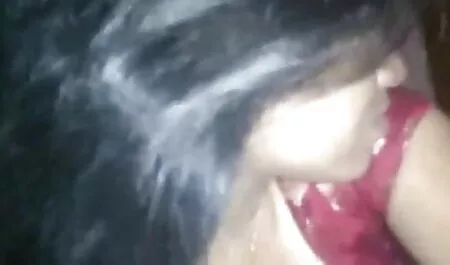 ওয়াইল্ড জীবন ভোল দেশি চুদাচুদি ভিডিও 1