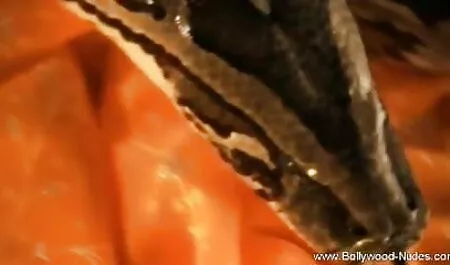 অভিন্ন একটি বাষ্প উপর মাং চোদা ভিডিও থেঁত