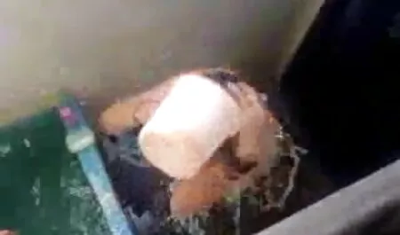 দ্বারা সন্তুষ্ট হোয়াইট মেয়ে বিবিসি (ফোয়ারা বাংলা চোদা চোদী সংকলন) অংশ 13