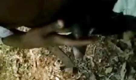 ক্যামেরার, ঈক্ষণকামী, ক্যামেরার সরাসরি চুদা চুদি ভিডিও