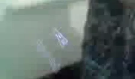 সুন্দরী বালিকা হট চুদা চুদি