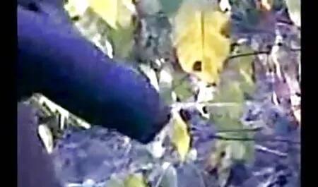 পরবর্তী-ফ্ল্যাশ বাস সুস্বাদু-09-12-2013 4অপরাহ্ন ম্যারাডোনা চোদা চুদি ভিডি ও 1 অপরাহ্ন