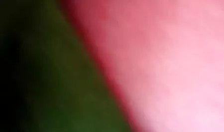 সুন্দরি চোদা চুদি বাংলা দেশের সেক্সি মহিলার)
