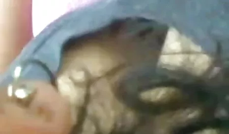 অপেশাদার, স্বামী ও স্ত্রী, চুদা চুদি বিডিয়