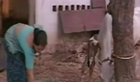 সুন্দরী চুদা চুদি hd বালিকা
