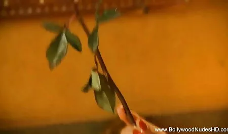 তিনে মিলে, স্ত্রী, চুদা চুদি ভিডিও কাজের মেয়ে