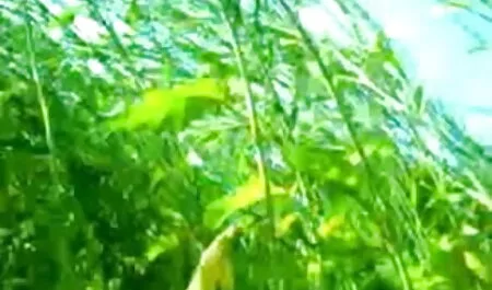 ওয়ান্ডারফুল প্রেমের বাংলা চোদা চোদী মুহুর্ত