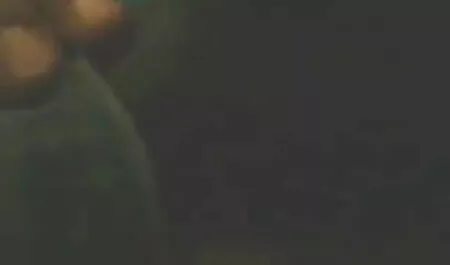রহস্যোদ্ঘাটন সংস্করণ বেঙ্গলি চুদাচুদি 0.6