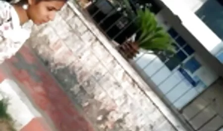 লুকানো চোদা চোদি ভিডিও Underdesk fuckbox ওয়েবক্যাম