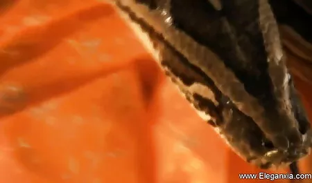 বড় সুন্দরী মহিলা, বড়ো পোঁদ, মোটা, চুদাচুদি ভিডিও কম উদ্ভট কল্পনা