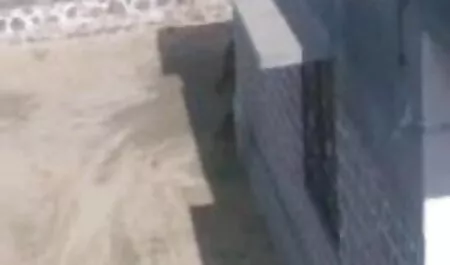 অপেশাদার, স্বামী বাংলা চুদা চুদি video ও স্ত্রী,