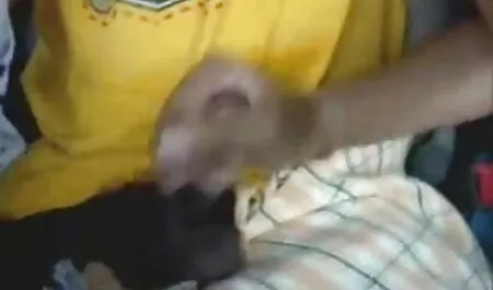 Xhamster.com বাংলা হট চুদাচুদি 6993463 moja Ebacica 480p. mp4